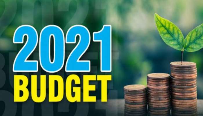 Budget 2021: આ વખતના બજેટથી મહિલા વર્ગને છે આ પ્રકારની આશા-અપેક્ષાઓ