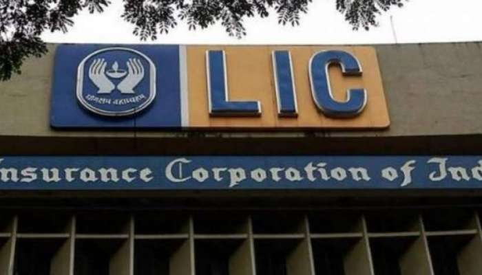 Budget 2021: LIC નો આવશે IPO, આગામી વર્ષે ઘણી સરકારી કંપનીઓનું થશે વિનિવેશ