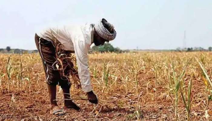 Farmers Protest: ખેડૂતો માટે ખુશીના સમાચાર, સરકારે 12,110 કરોડની કૃષિ લોન કરી માફ