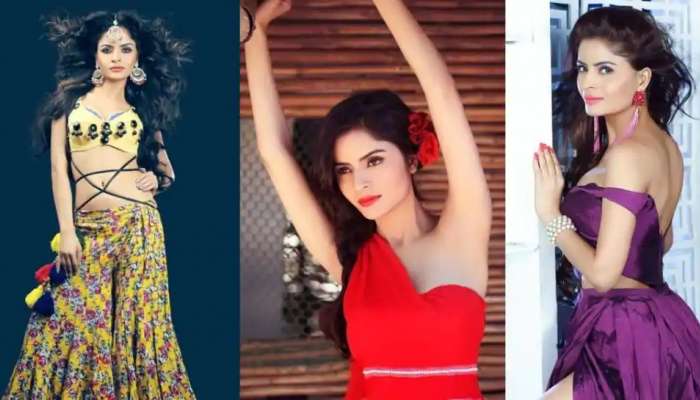 Gehana Vasisth પૈસા આપીને Newcomers પાસે કરાવતી હતી પોર્ન વીડિયો શૂટ, ખાતામાંથી ઢગલો રૂપિયા મળ્યા
