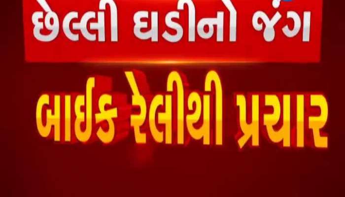 Gujarat Elections: Congress unique campaign with bull cart in Sabarkantha , door to door campaign