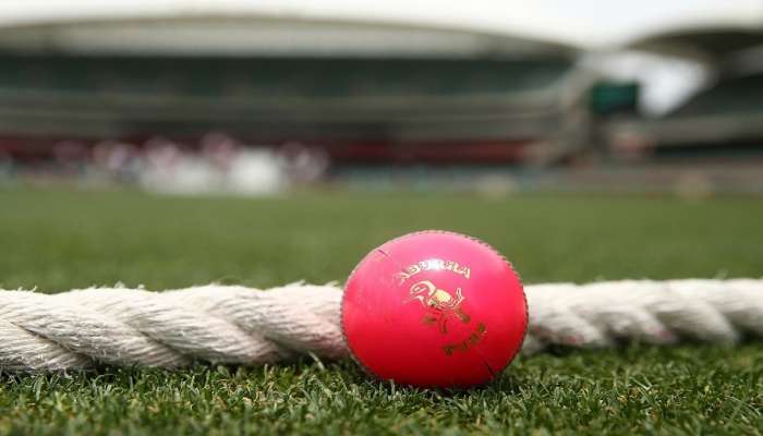 Pink Ball Test માં કેવો છે ટીમ ઈન્ડિયાનો રેકોર્ડ, જાણો કોણ સફળ બેટ્સમેન-કોની બોલિંગમાં દમ?