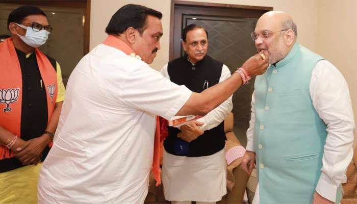 ગુજરાતની 6 મહાનગર પાલિકામાં ભાજપનો ભગવો લહેરાયો, જાણો A to Z વિગતવાર પરિણામ ગુજરાતની 6 મહાનગર પાલિકામાં ભાજપનો ભગવો લહેરાયો, જાણો A to Z વિગતવાર પરિણામ