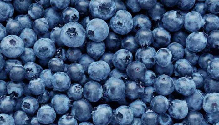 Health Tips: મગજને કોમ્પ્યુટરથી પણ તેજ કરવું છે? તો આ વસ્તુઓનું સેવન શરૂ કરો પછી જુઓ કમાલ