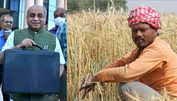Gujarat Budget 2021: બજેટમાં સરકારે ખેડૂતોને કર્યા ખુશ, જાણો શું-શું મળ્યું