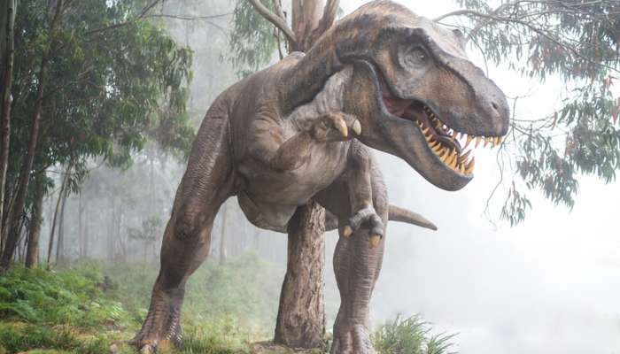 Dinosaurs ના અંત સાથે જોડાયેલી અટકળો પર આખરે મૂકાયુ પૂર્ણવિરામ, ડાયનાસોર અંગે વૈજ્ઞાનિકોએ કર્યો મોટો ખુલાસો