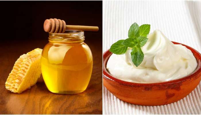 Heath Tips: ભૂલથી એકસાથે ન ખાઓ આ વસ્તુઓ, નહીં તો પેટમાં જઈને આ વસ્તુઓ બની જશે ઝેર