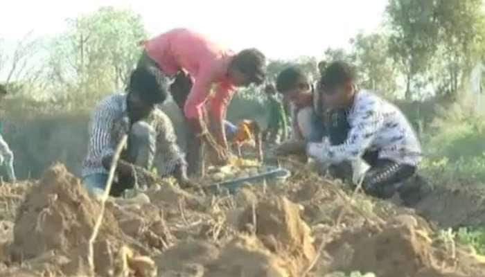 Banaskantha: બટાકાનું વાવેતર કરી ખેડૂતો પછતાઇ રહ્યા છે, ચપાણીયું પણ નથી મળી રહ્યું