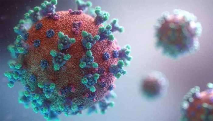 કોરોના વચ્ચે વૈજ્ઞાનિકોએ આપી નવા વાયરસની ચેતાવણી, થઇ શકે છે 7.5 કરોડ લોકોના મોત