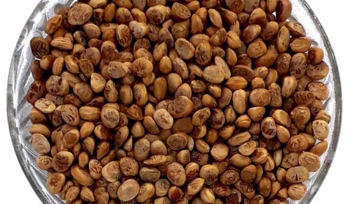 આ વસ્તુના 10 દાણા તમને રાખશે 100 બીમારીઓથી દૂર, શરીરમાં આવશે ગજબની તાકાત