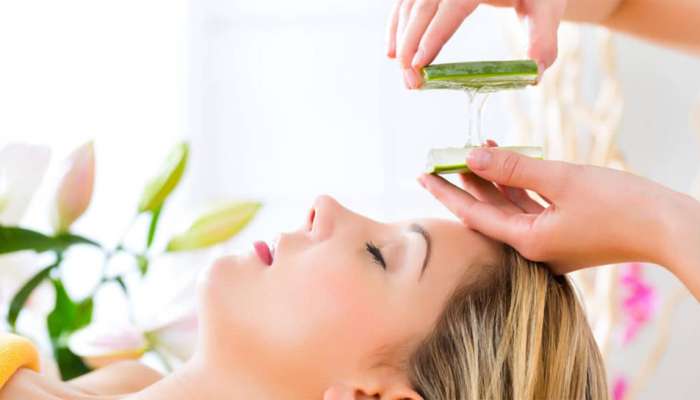 Beauty Tips: એલોવેરાના જેલથી ઉનાળામાં ત્વચાને રાખો સુંદર, પેટની તકલીફોમાં પણ મળશે રાહત Beauty Tips: એલોવેરાના જેલથી ઉનાળામાં ત્વચાને રાખો સુંદર, પેટની તકલીફોમાં પણ મળશે રાહત