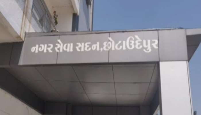 Chhota Udepur: બળવો કરી સત્તા મેળવનારને ભાજપે એવો પાઠ ભણાવ્યો કે...