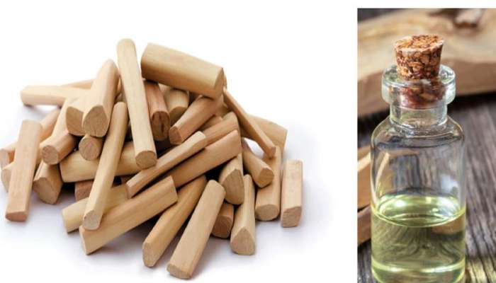 Health Tips: તણાવ અને બેચેનીની સમસ્યાથી પરેશાન છો? આ ઈલાજ બનશે અકસીર Health Tips: તણાવ અને બેચેનીની સમસ્યાથી પરેશાન છો? આ ઈલાજ બનશે અકસીર