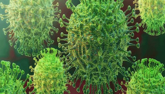 Corona Virus છેલ્લાં 25 હજાર વર્ષથી લોકોના લઈ રહ્યો છે જીવ, થયો ચોંકાવનારો ખુલાસો