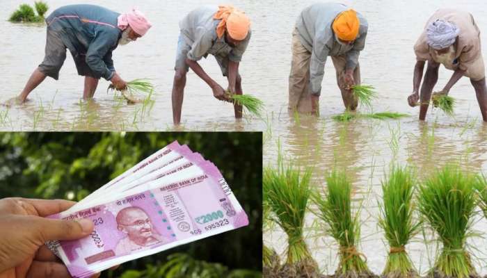 PM Kisan: ખેડૂતો માટે આવતી કાલનો દિવસ ખુબ મહત્વનો, ખાતામાં આવશે આટલા રૂપિયા