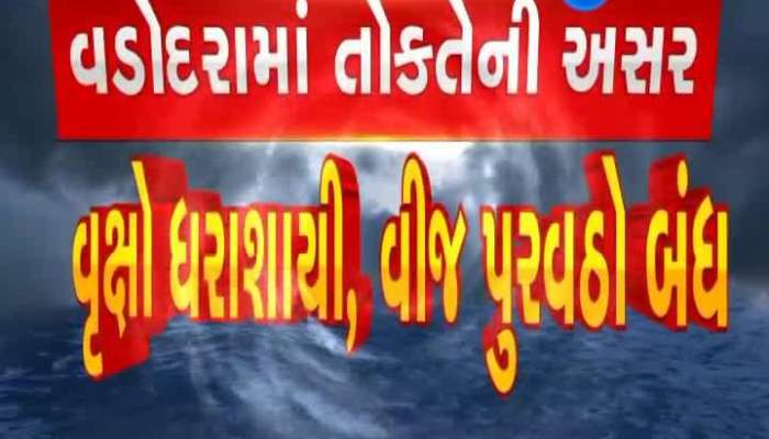 Gujarat Cyclone Effects: Tauktae hurricane hits Vadodara, trees fall, power cut