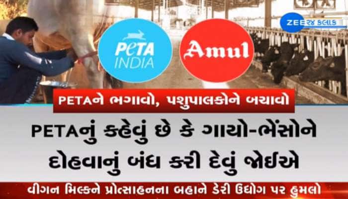 PETA V/s Amul : વિગન દૂધ અંગેના પેટાના નિવેદનથી રોષે ભરાયા ગુજરાતના પશુપાલકો 