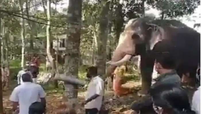 Elephant Emotional Video: મહાવતના મોત પર અંતિમ દર્શન માટે પહોંચ્યો હાથી, ભાવુક થઈ રડવા લાગ્યો