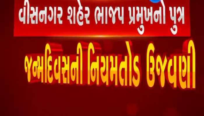 Visnagar city BJP president's son, birthday celebration