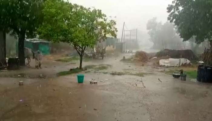Monsoon: રાજ્યના વાતાવરણમાં પલટો, અનેક જિલ્લામાં વરસાદી ઝાપટા પડ્યા
