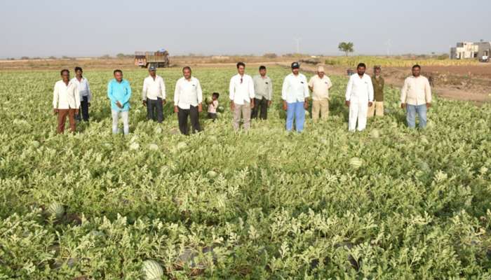જામનગરના ખેડૂતો સમૂહ ખેતી કરીને વીઘા દીઠ મેળવે છે 50 હજાર રૂપિયાનો નફો, જાણો ટેકનીક