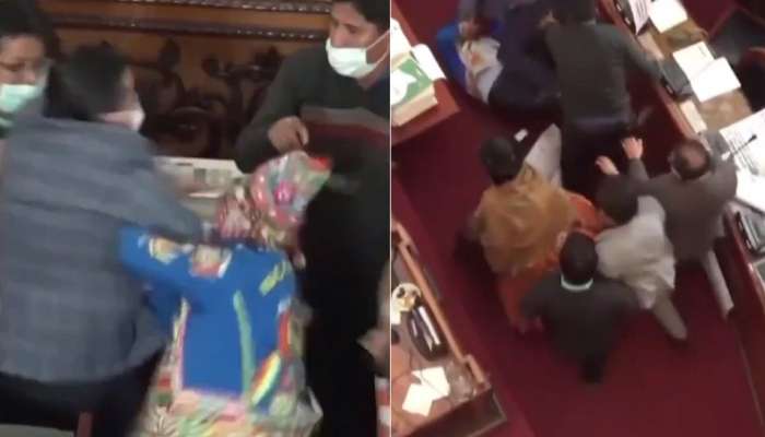 Video: સંસદની ગરિમાના લીરેલીરા...સાંસદોએ કરી છૂટાહાથે મારામારી, મહિલાઓએ એકબીજાના વાળ ખેંચ્યા