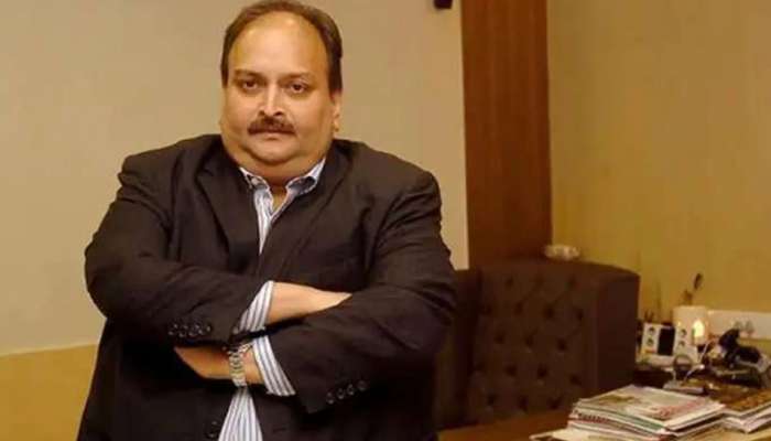 Mehul Choksi હજુ પણ ભારતીય નાગરિક, ભારતે ડોમિનિકા કોર્ટમાં આપ્યું એફિડેવિટ