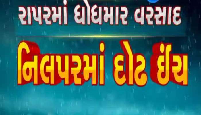 Heavy Rain In Kutch, Watch 