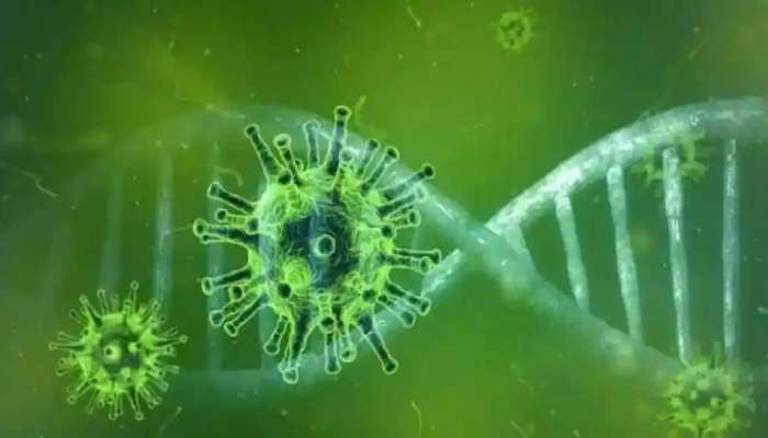 Aspergillosis: કોરોનાનો પ્રકોપ ઘટ્યો તો હવે આ બીમારીના મળી રહ્યા છે કેસ, જાણો શું છે લક્ષણો