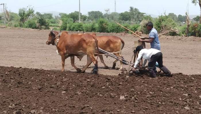 સમગ્ર ગુજરાતમાં શ્રીકાર વર્ષાને પગલે ખેડૂતોને ભીમ અગિયારસનાં શુભ પર્વે વાવણી