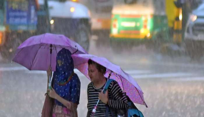 પાટણમાં આવ્યા નવા નીર, ઉપરવાસમાં ભારે વરસાદ બાદ જિલ્લામાં સર્જાયા આહલાદક દ્રશ્યો