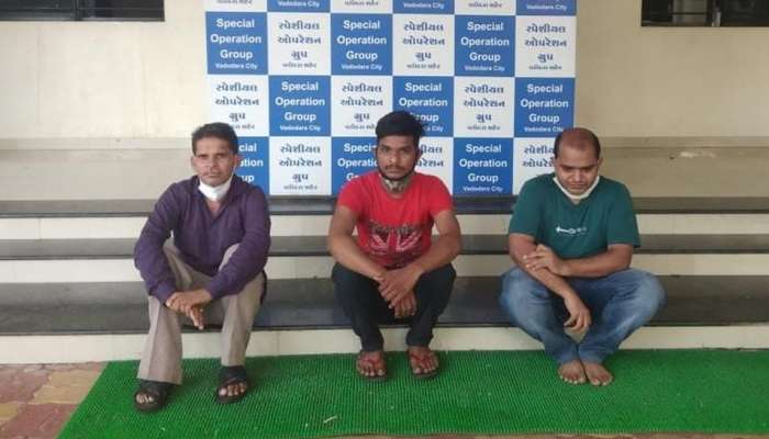 સંસ્કારીનગરીમાંથી ઝડપાયું હાઇ પ્રોફાઇલ સેક્સ રેકેટ, ફોટા બતાવીને ચેટિંગ પર નક્કી થતા હતા ભાવ