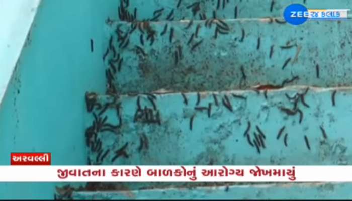મોડાસાના ગામડાઓમાં ચુડવેલ જીવાતનો આતંક, લોકોને શાંતિથી જમવા પણ નથી દેતી