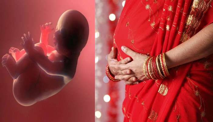 જાણવા જેવી માહિતી : 46 જેટલા DNA માંથી 23 માતાના અને 23 પિતાના બાળકમાં આવે છે