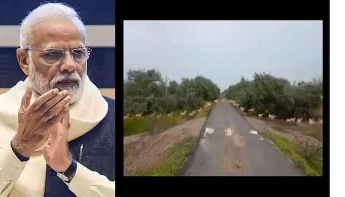 PM Modi પણ ગુજરાતના અદભૂત નજારાનો વીડિયો શેર કરતા ખુદને રોકી ન શક્યા