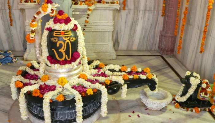 શિવજીને કઈ વસ્તુઓ અર્પણ કરવાથી મનોકામના થશે પુરી? જાણો કઈ રીતે કરશો શિવલિંગ પર અભિષેક