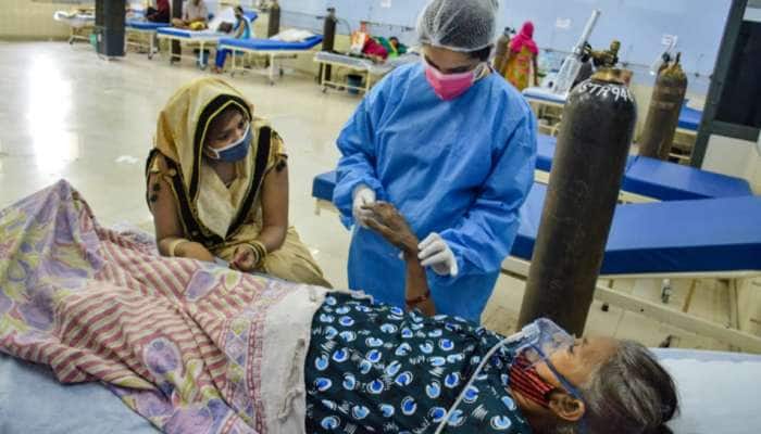 ઘોડાની એન્ટીબોડીથી ભારતીય કંપની બનાવી રહી છે કોરોનાની દવા, 90 કલાકમાં સાજા થશે દર્દી