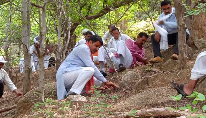 બનાસ ડેરીનું મહાઅભિયાન : સૂકાભઠ્ઠ બનાસકાંઠાને બનાવશે લીલુછમ 