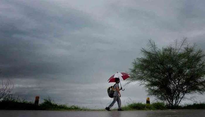 Monsoon: ખેડૂતો માટે ચિંતાજનક સમાચાર, રાજ્યમાં આગામી 5 દિવસ વરસાદની સંભાવના નહીં, હવામાન વિભાગે આપી માહિતી