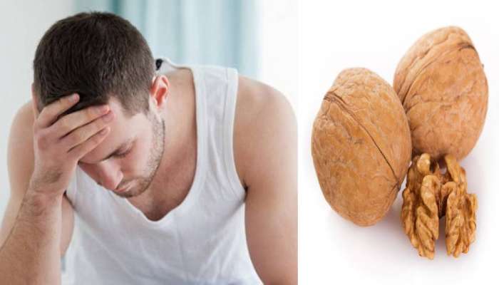 Health: પુરુષોએ રોજે કરવું જોઈએ આ ડ્રાયફ્રુટનું સેવન, બેડ પરની મસ્તી થઈ જશે ડબલ!
