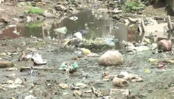 Vadodara: ડભોઈમાં અનેક જગ્યાએ કચરાના ઢગલા, પાણીજન્ય અને મચ્છરજન્ય રોગચાળો વકર્યો