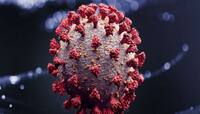 GUJARAT CORONA UPDATE: નવા 12 કેસ, 16 રિકવર, એક પણ દર્દીનું મોત નહી