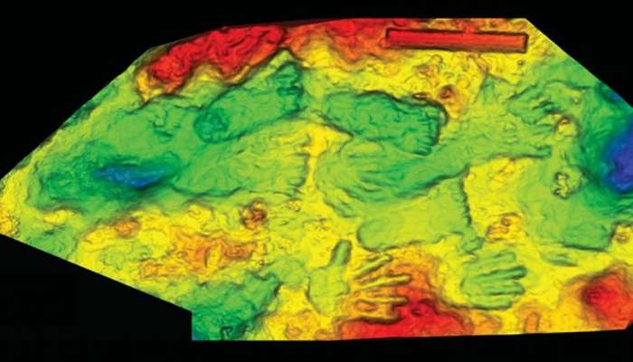 કીચડમાં મળ્યો એવો ખજાનો, જે વૈજ્ઞાનિકો માટે કોહિનૂર કરતા પણ કિંમતી સાબિત થયો