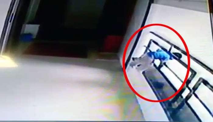 Shocking CCTV : સુરતમાં આઠમા માળે રમતું બે વર્ષનું બાળક નીચે પટકાતાં કરુણ મોત