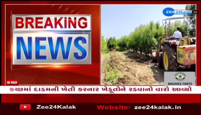 Pomegranate cultivation fails in Kutch, farmers in trouble, Watch