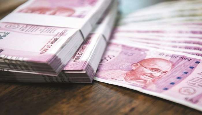 Multibagger Stock 2021: 20 રૂપિયાવાળા શેરએ રોકાણકારોને કર્યા માલામાલ! આજે પણ છે તક, જુઓ ડિટેલ