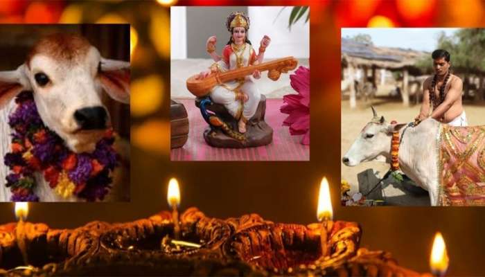 Diwali Festival:  વાકબારસ કે વાઘબારસ, જાણો પર્વના મહત્વ વિશે