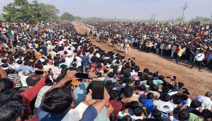 752 વર્ષની મુઠેડાની પરંપરા : ભાઈબીજ પર ભાઈ ઘોડા પર બહેન માટે ચુંદડી લેવા જાય છે