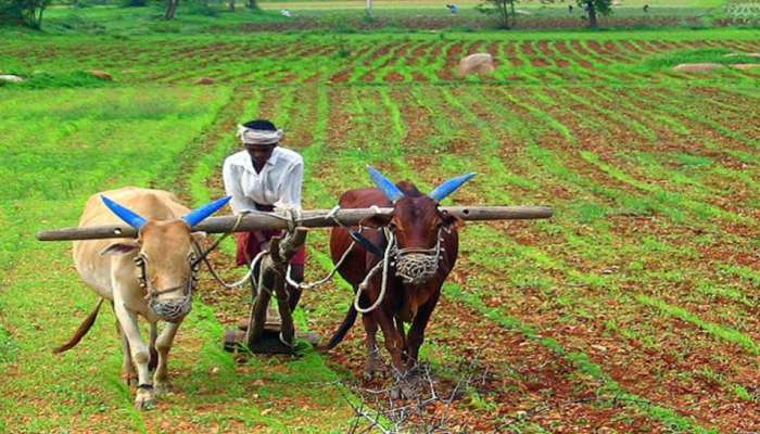 Gujarat Government ની ખેડૂતોને દેવ દિવાળીની ભેટ: &#039;હવે જમીનના 7/12, 8-અ, નં.6 હવે ઓનલાઇન મળશે&#039;