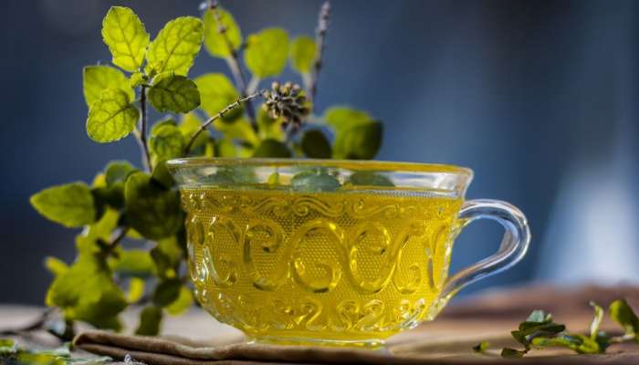 Health Tips: તુલસીવાળી ચા પીવાના શું છે ગેરફાયદા, પુરૂષો ખાસ જાણે